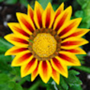 Meet your Posher, Vanessa